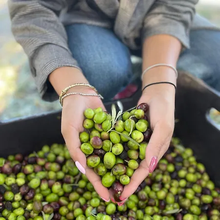 Hotel Tenuta Contessa Farm & Cosenza 3*