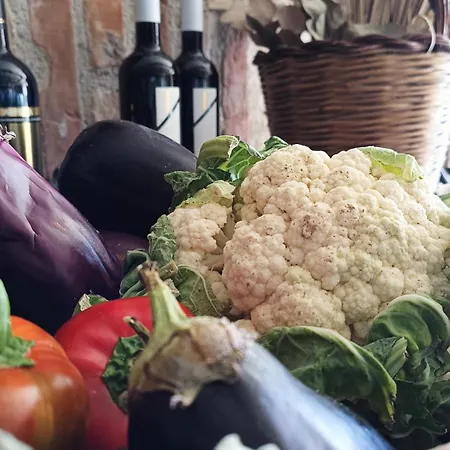 Tenuta Contessa Farm & Cosenza Hotel