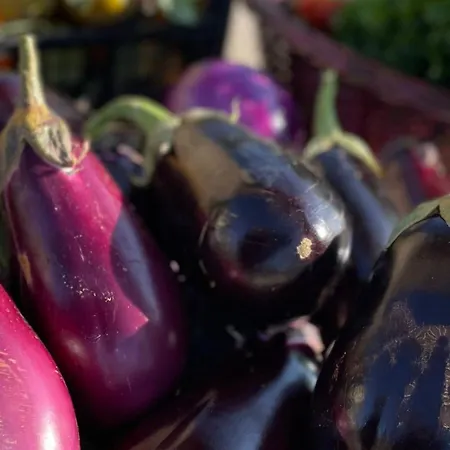 Hotel Tenuta Contessa Farm & Cosenza 3*