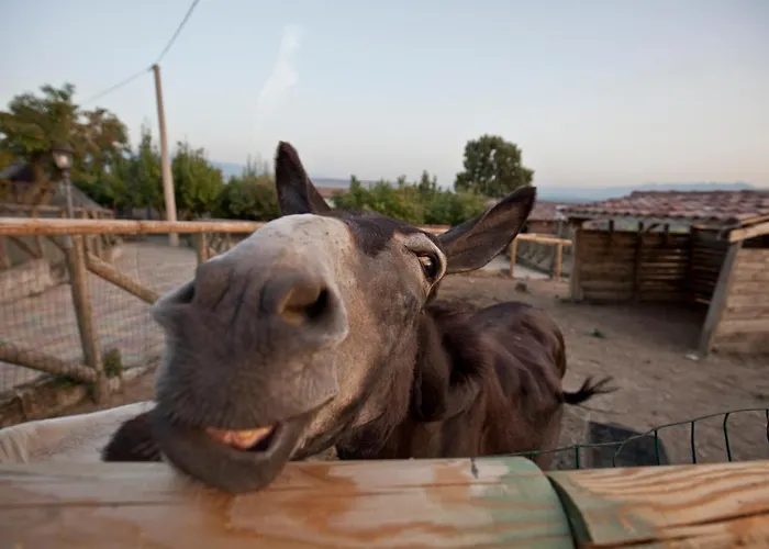 Tenuta Contessa - Relais&spa Hotel Montalto Uffugo