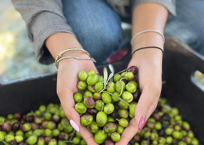 酒店 Tenuta Contessa Farm & Cosenza 3*