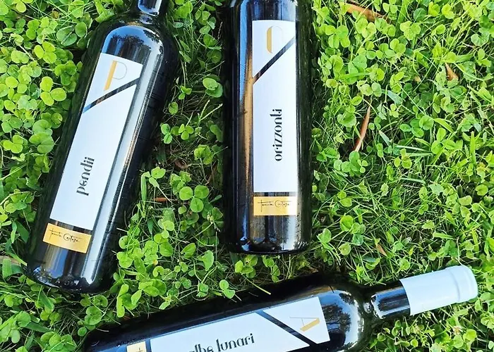 Tenuta Contessa Farm & Cosenza 酒店 3*