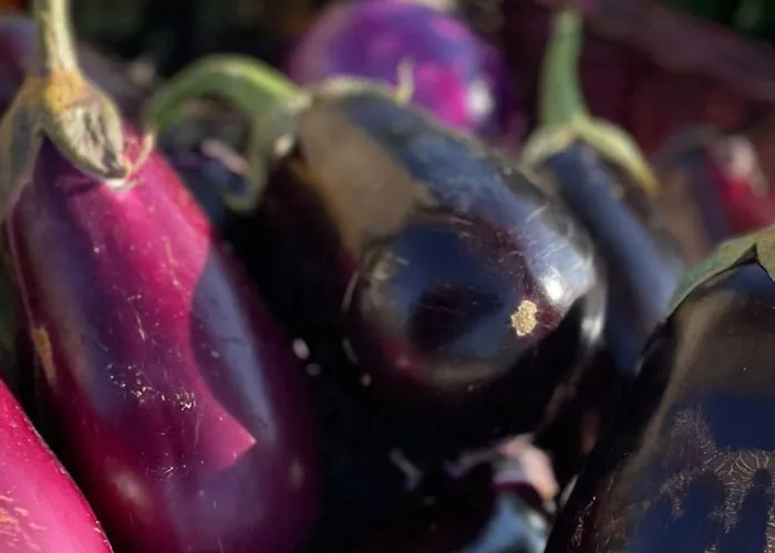 酒店 Tenuta Contessa Farm & Cosenza 3*